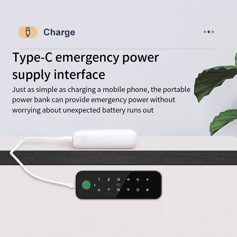 Tuya Bluetooth Akıllı Ahşap Do - Furniture Home Hardware incelemesi ve fiyatı